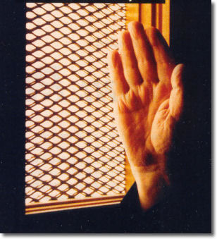 Priest's Hand behind Confessional Screen